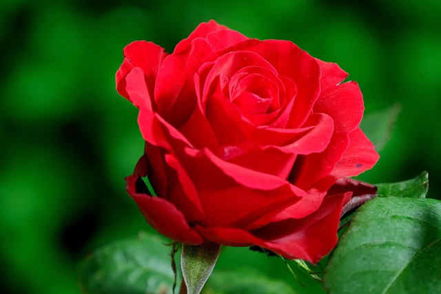 Image 17