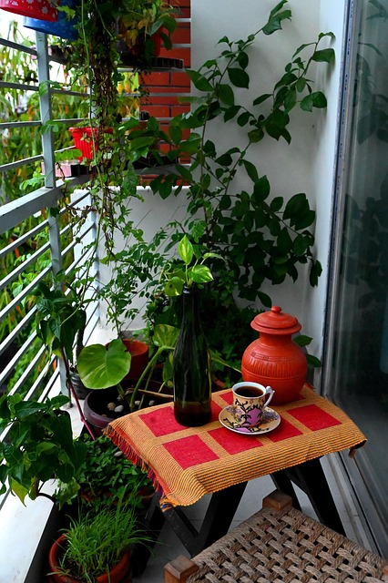 Balkon, Thee, Drankje, Vrije Tijd