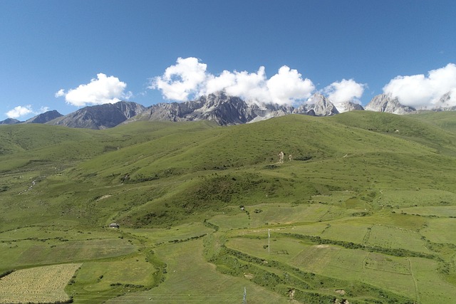 Free Mountain Grassland photo and picture