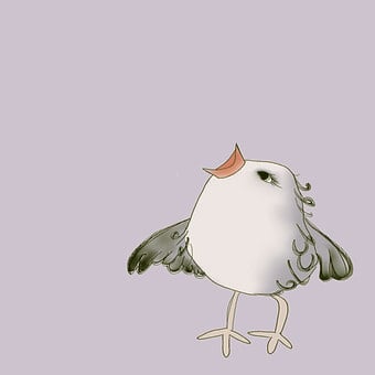 Free Bird Drawing illustration and picture