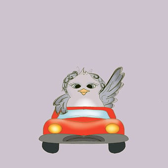 Free Chick Bird illustration and picture