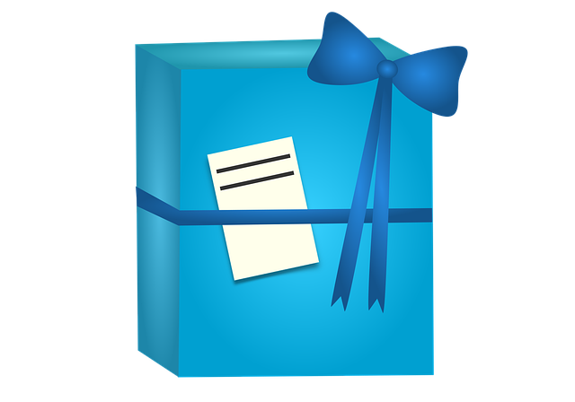 Free gift present package vector