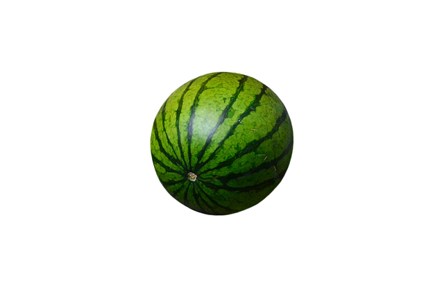 Free Watermelon Fruit illustration and picture