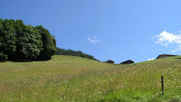 Free Mountain Nature photo and picture