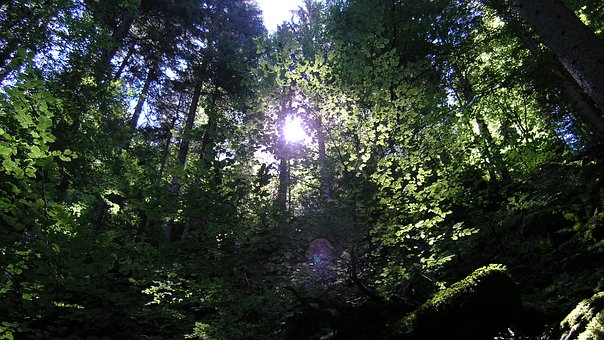 Free Mountain Nature photo and picture