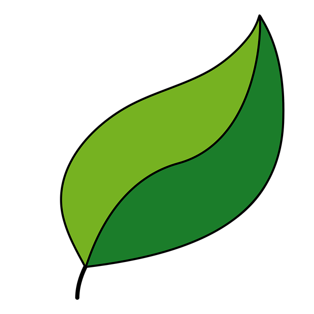 Blatt, Natur, Pflanze, Laub, Baum, Grün
