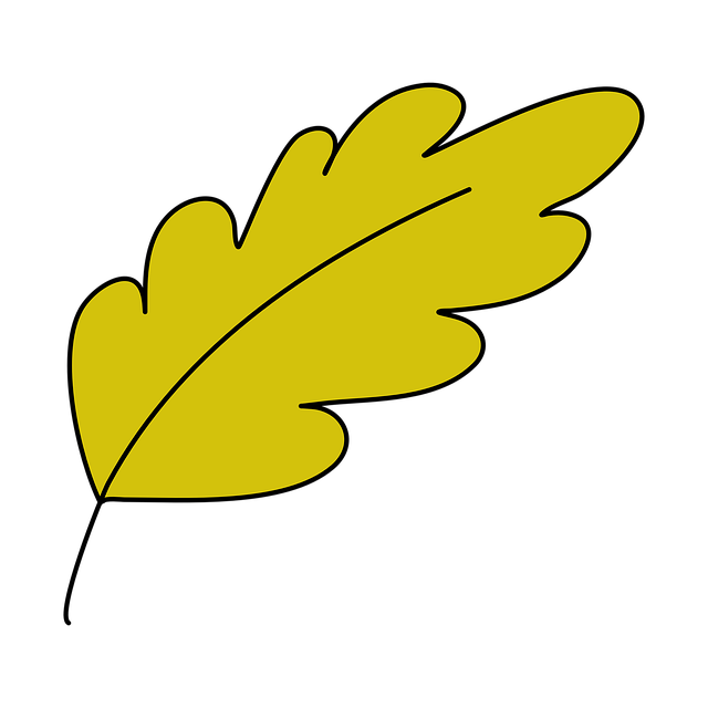 Blatt, Pflanze, Laub, Natur, Baum, Gelb