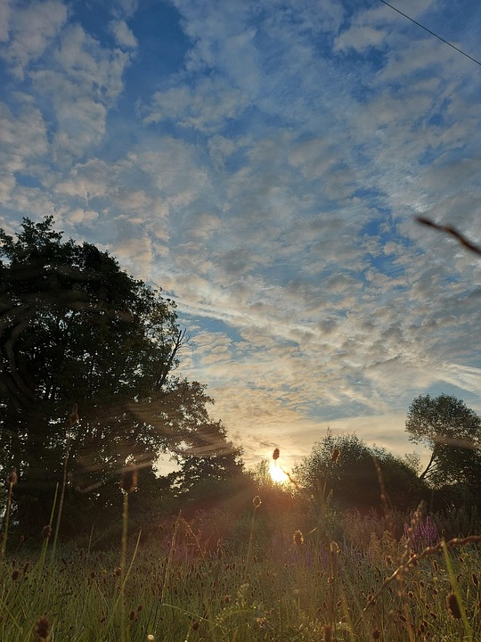 早晨 阳光 天空 - Pixabay上的免费照片 - Pixabay
