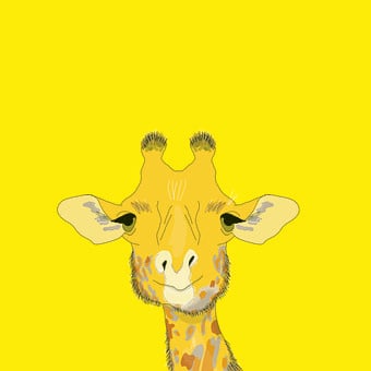 Free Giraffe Long Neck illustration and picture