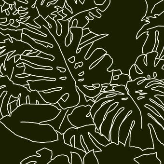 Free Leaves Plant illustration and picture