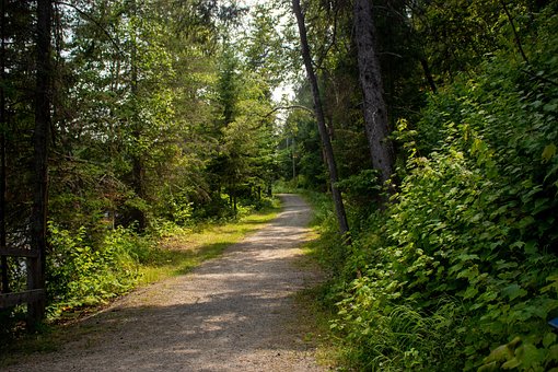 Free Nature Hiking photo and picture