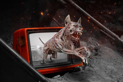 Perro, Zombi, Caballero