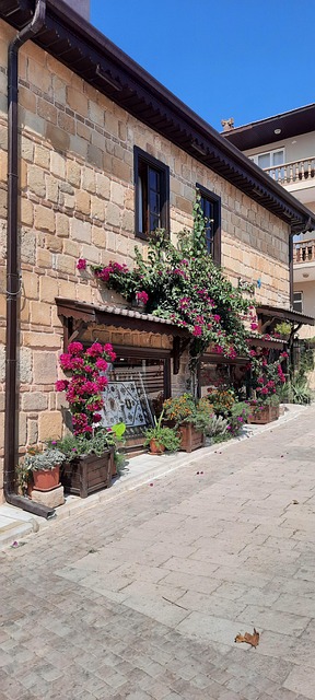 Free Side Oldtown photo and picture