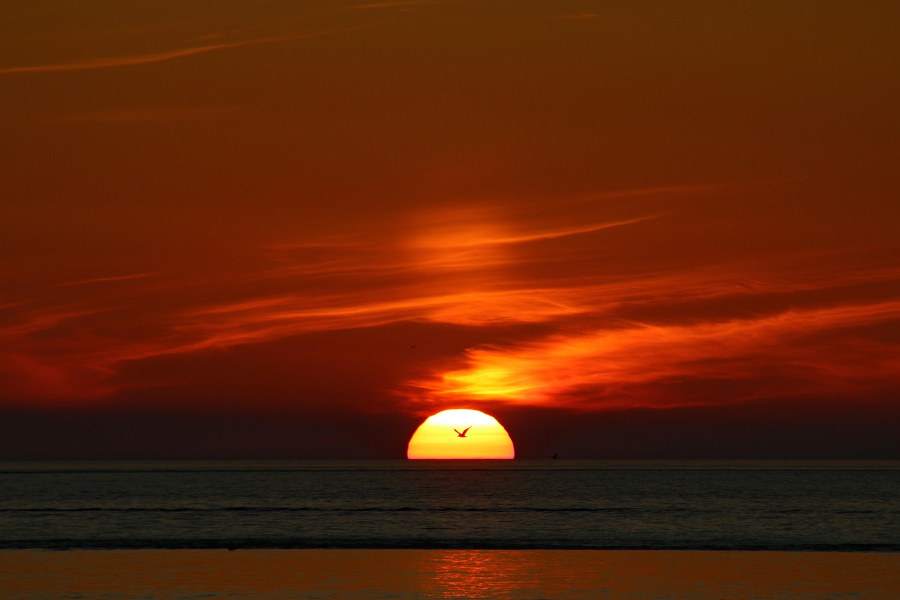 Amrum Sunset Beach - Free photo on Pixabay - Pixabay