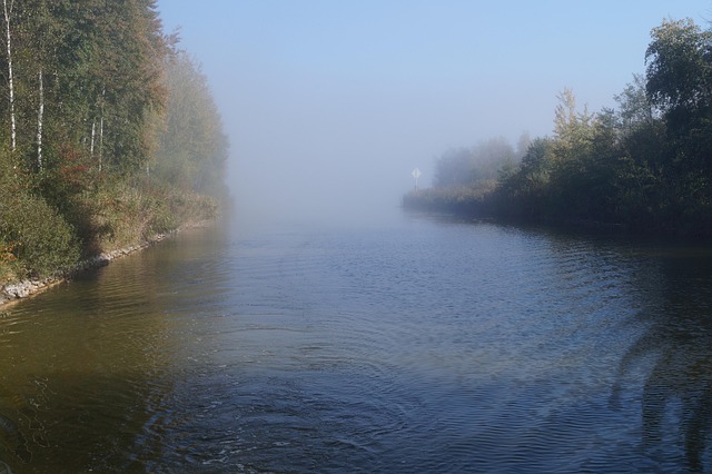 Free Morning Mood Fog photo and picture