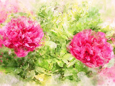 Flores, Pintura, Arte, Desenhando