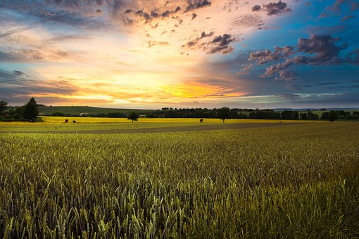 Free Sky Field photo and picture