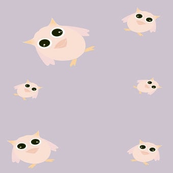 Free Owl Baby illustration and picture