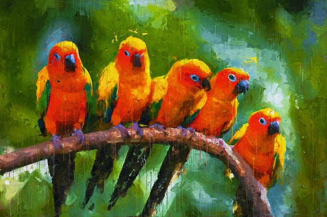 Free birds parrot painting illustration