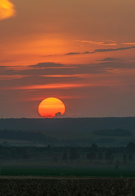Free Sunset Field photo and picture