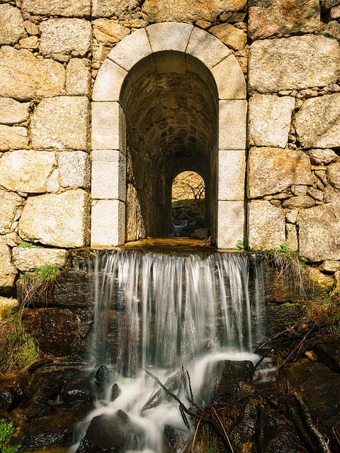 Free Brook Water photo and picture