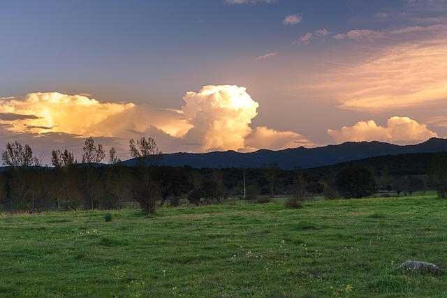 Free Field Pasture photo and picture