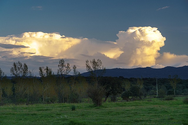 Free Field Pasture photo and picture