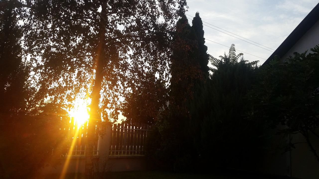 Puesta Del Sol Jardín El Verano - Foto gratis en Pixabay - Pixabay