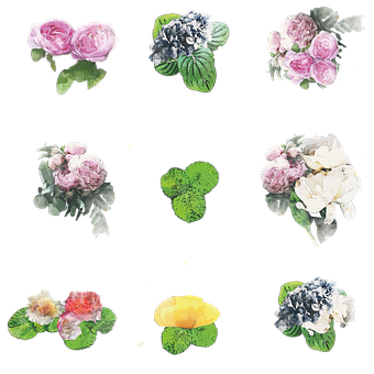 Free Flower Pastel Art illustration and picture