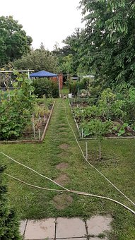 Garten, Gartenarbeit, Zomer