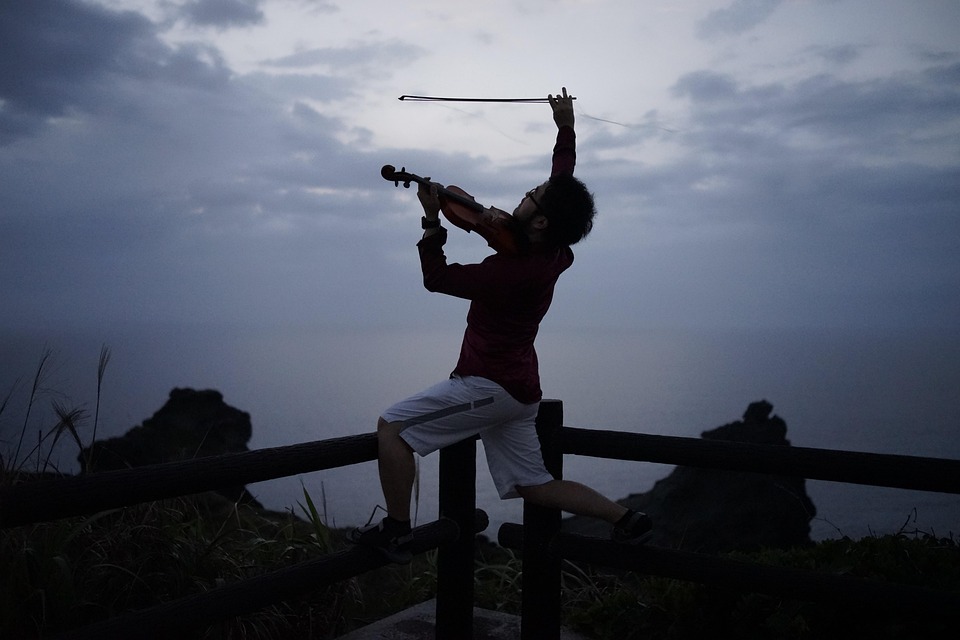 Violin Instrument Okinawa Ishigaki Free photo on Pixabay Pixabay