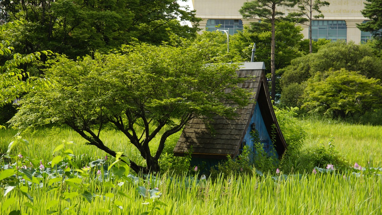 Outdoors - free online jigsaw puzzle photo