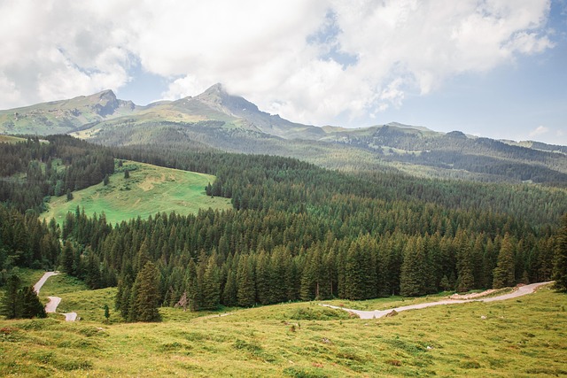 Free Mountains Alpine photo and picture