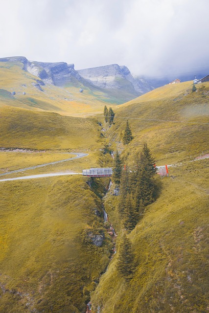 Free Mountains Alpine photo and picture