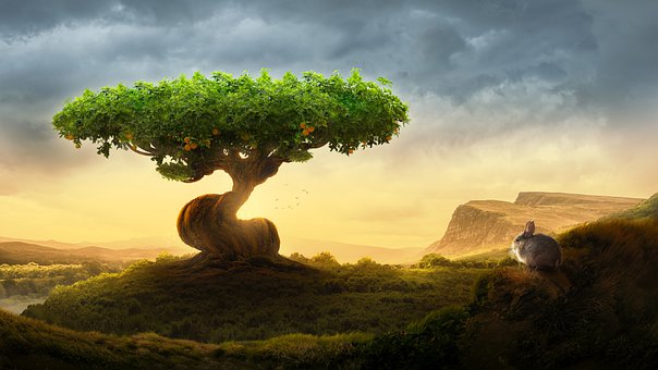 Baum, Natur, Draußen, Umgebung, Frieden