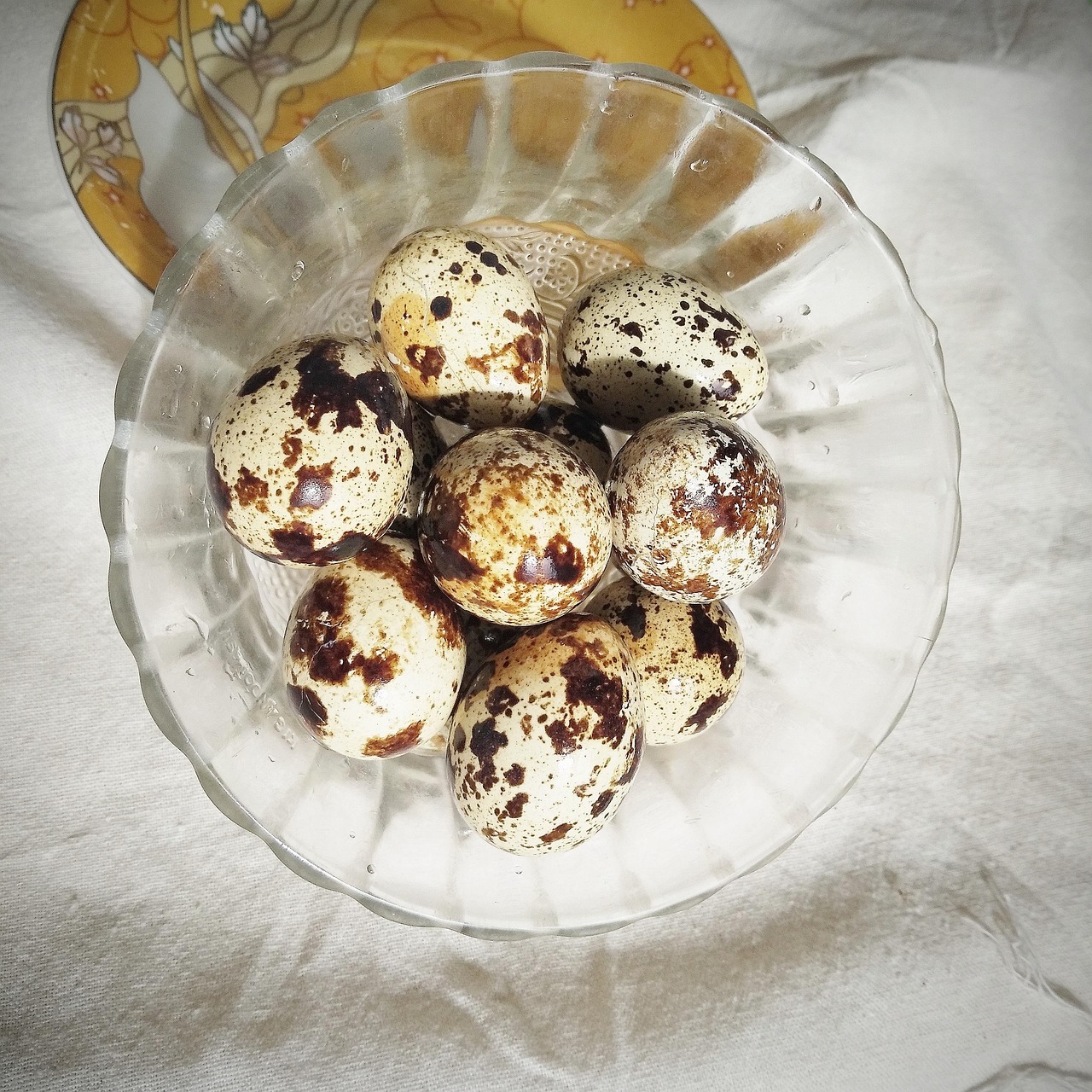 Quail Eggs Protein Food Free photo on Pixabay Pixabay
