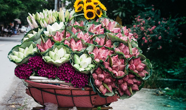 Saison Blumen, Menschen, Sonnenblumen