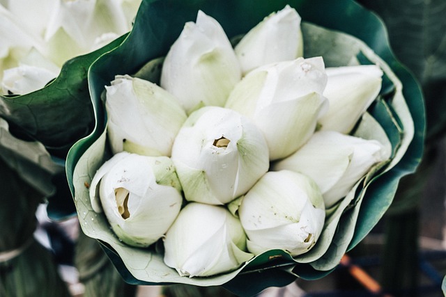 Blumen, Blumen Hintergrund, Strauß