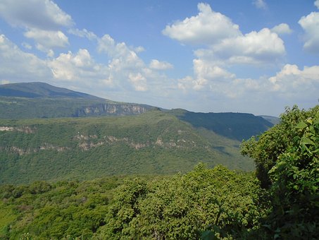 Free Ravine Summer photo and picture