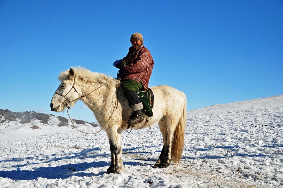 Mongolia Breaks Silence: The Surprising Reason Behind Not Detaining Russian President Putin