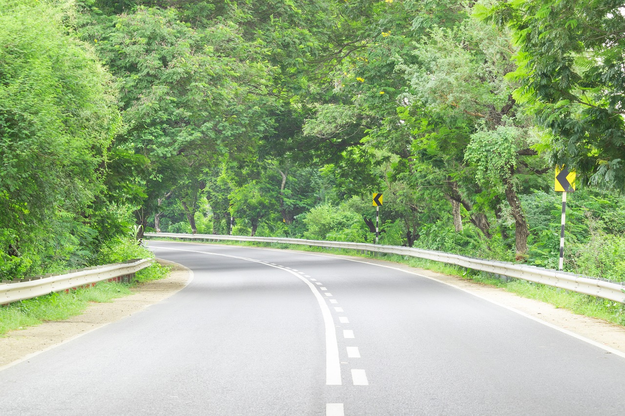 Road Highway Trees - Free photo on Pixabay - Pixabay
