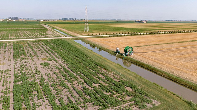 Free Countryside Fields photo and picture