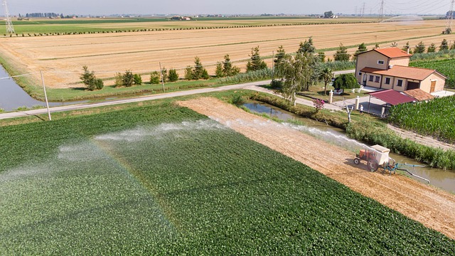 Free Countryside Fields photo and picture