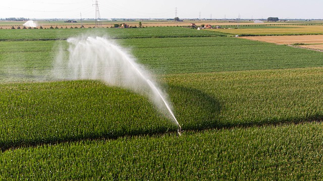 Free Countryside Fields photo and picture