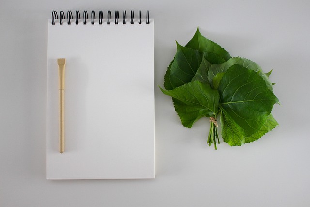 Bloco De Anotações, Folhas, Caneta