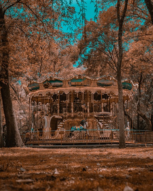 Carrusel, Parque, Parque De Atracciones