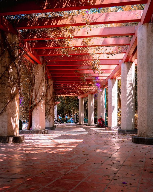 Calle, Callejón, Silvicultura, Campo
