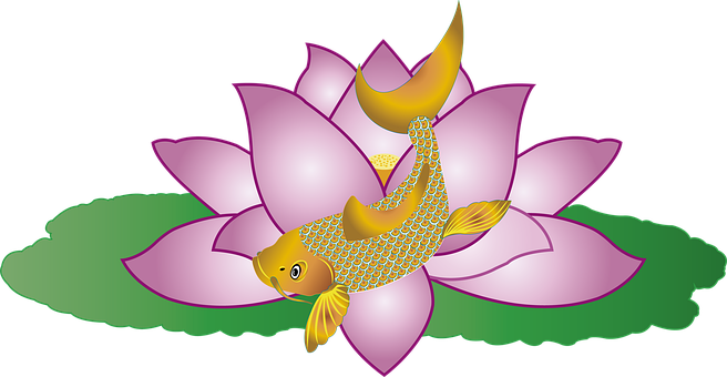 Fische, Koi, Lotus, Traditionell, Symbol