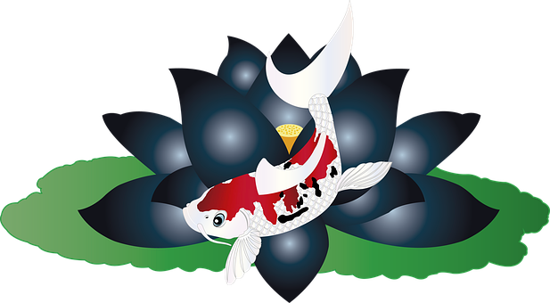 Koi, Fische, Lotus, Japanisch, Karpfen