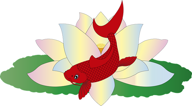 Koi, Fische, Japanisch, Karpfen, Japan